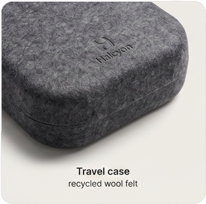 Travel case — recycled wool felt
